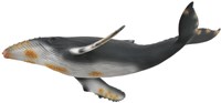 COLLECTA Bultrug Walvis - (XL)-3