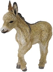COLLECTA Ezel Veulen Wandelend - (S)