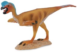 Tortue COLLECTA - (M)