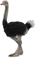 Autruche COLLECTA - (L)