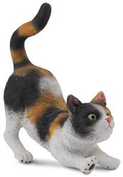 Chat domestique COLLECTA - (S)