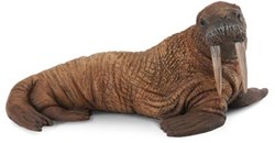 COLLECTA Walrus - (L)