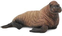 COLLECTA Walruskalf - (M)