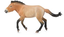 COLLECTA Przewalski Hengst - (XL)