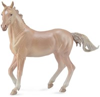COLLECTA Akhal-Teke Jument Perlino - (XL)-2