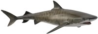 COLLECTA Tijgerhaai - (L)