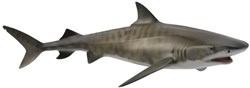 COLLECTA Tijgerhaai - (L)
