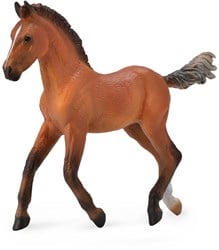 COLLECTA Hannoveraan Veulen - (M)
