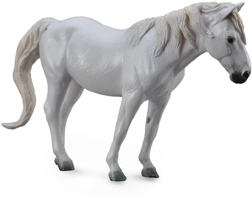 COLLECTA Camargue Grey - (XL)-2