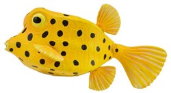 Poisson-coffre jaune COLLECTA - (S)