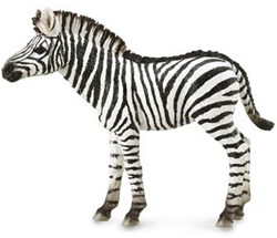 COLLECTA Zebra Veulen - (M)
