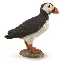 COLLECTA Papegaaiduiker - (M)