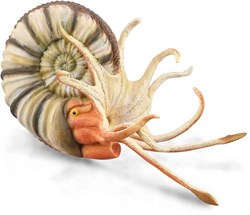 COLLECTA Pleuroceras Ammoniet - (XL)