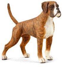 Collecta figurine chien Boxer - jouet animal réaliste