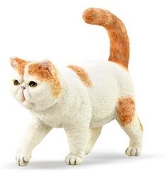 Collecta figurine chat Exotic Shorthair - jouet chat blanc orange