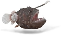 COLLECTA Zeeduivel - (XL)