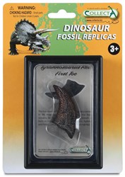 Coffret COLLECTA - Préhistoire