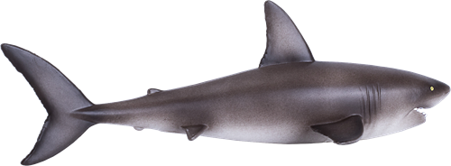 Mojo Jouet Sealife Grand Requin Blanc - 381012-2