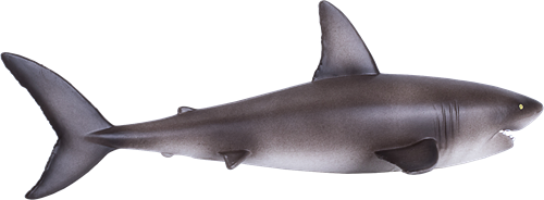 Mojo Sealife speelgoed Grote Witte Haai - 381012-2