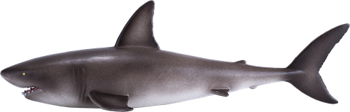 Mojo Sealife speelgoed Grote Witte Haai - 381012