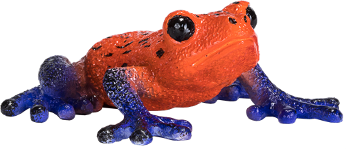 Mojo Jouet Wildlife Grenouille à fléchettes empoisonnées - 381016