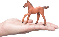 Mojo Horses speelgoed paard Arabisch Veulen Kastanje - 381019-3