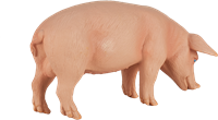 Mojo Jouet Ferme Cochon (Sanglier) - 387080-2