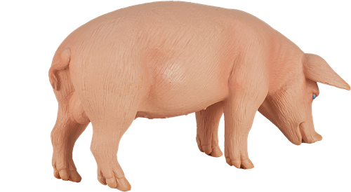 Mojo Jouet Ferme Cochon (Sanglier) - 387080-2