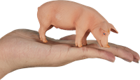 Mojo Jouet Ferme Cochon (Sanglier) - 387080-3