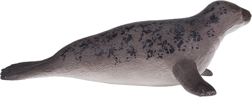 Mojo Jouet Sealife Phoque Gris - 387091