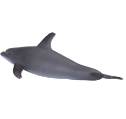 Mojo Jouet Sealife Dauphin à Bec de Bouteille - 387118