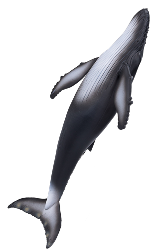 Mojo Sealife speelgoed Bultrug Walvis - 387119