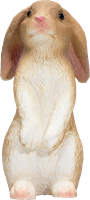 Mojo Pets - Rabbit Sitting  387141