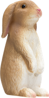 Mojo Pets - Rabbit Sitting  387141