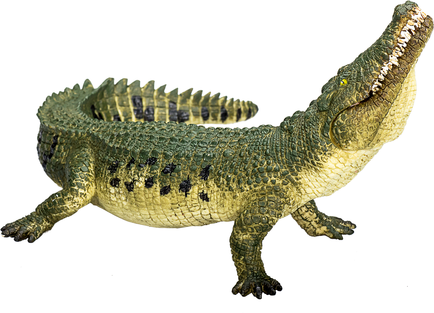 Jouet crocodile 2025