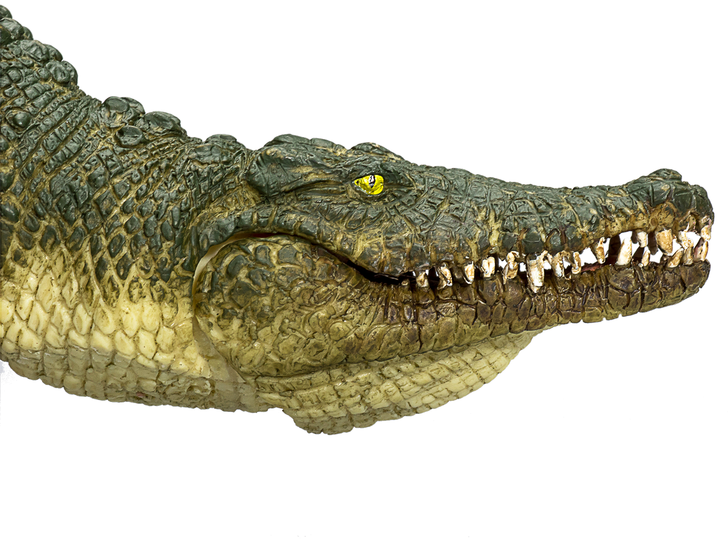 simulé ornement crocodile mâchoire mobile jouet Maroc