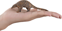 Mojo Jouet Wildlife Pangolin Indien - 387174-3