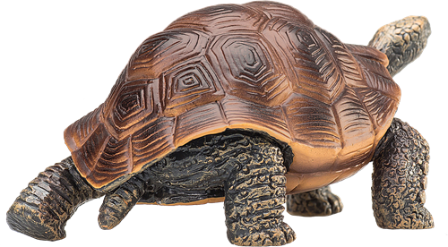 Mojo Jouet Wildlife Tortue Géante - 387259-3