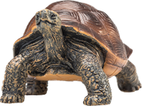 Mojo Jouet Wildlife Tortue Géante - 387259