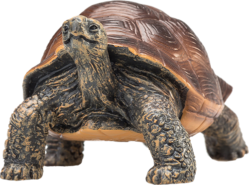 Mojo Jouet Wildlife Tortue Géante - 387259