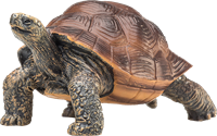 Mojo Wildlife speelgoed Reuzenschildpad - 387259-2