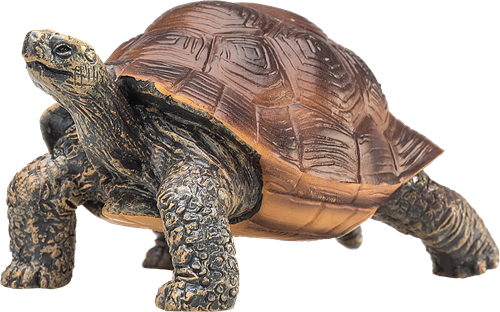 Mojo Jouet Wildlife Tortue Géante - 387259-2