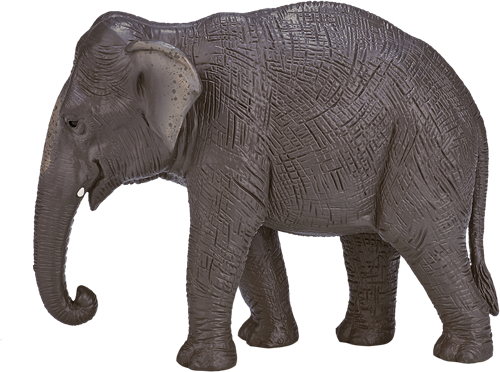 Mojo Wildlife speelgoed Aziatische Olifant - 387266
