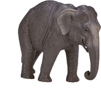 Mojo Wildlife speelgoed Aziatische Olifant - 387266