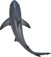 Mojo Sealife speelgoed Stierhaai - 387270