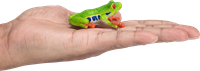 Mojo Jouet Wildlife Grenouille aux yeux rouges - 387299-3