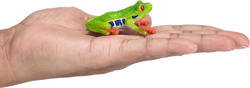 Mojo Jouet Wildlife Grenouille aux yeux rouges - 387299-3