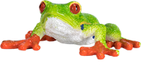 Mojo Jouet Wildlife Grenouille aux yeux rouges - 387299