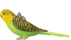 Mojo Farm & Pets Sleutelhanger Grasparkiet Groen - 387460
