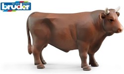Bruder stier (02309)